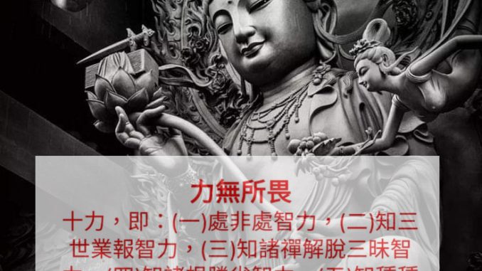 6102-力無所畏